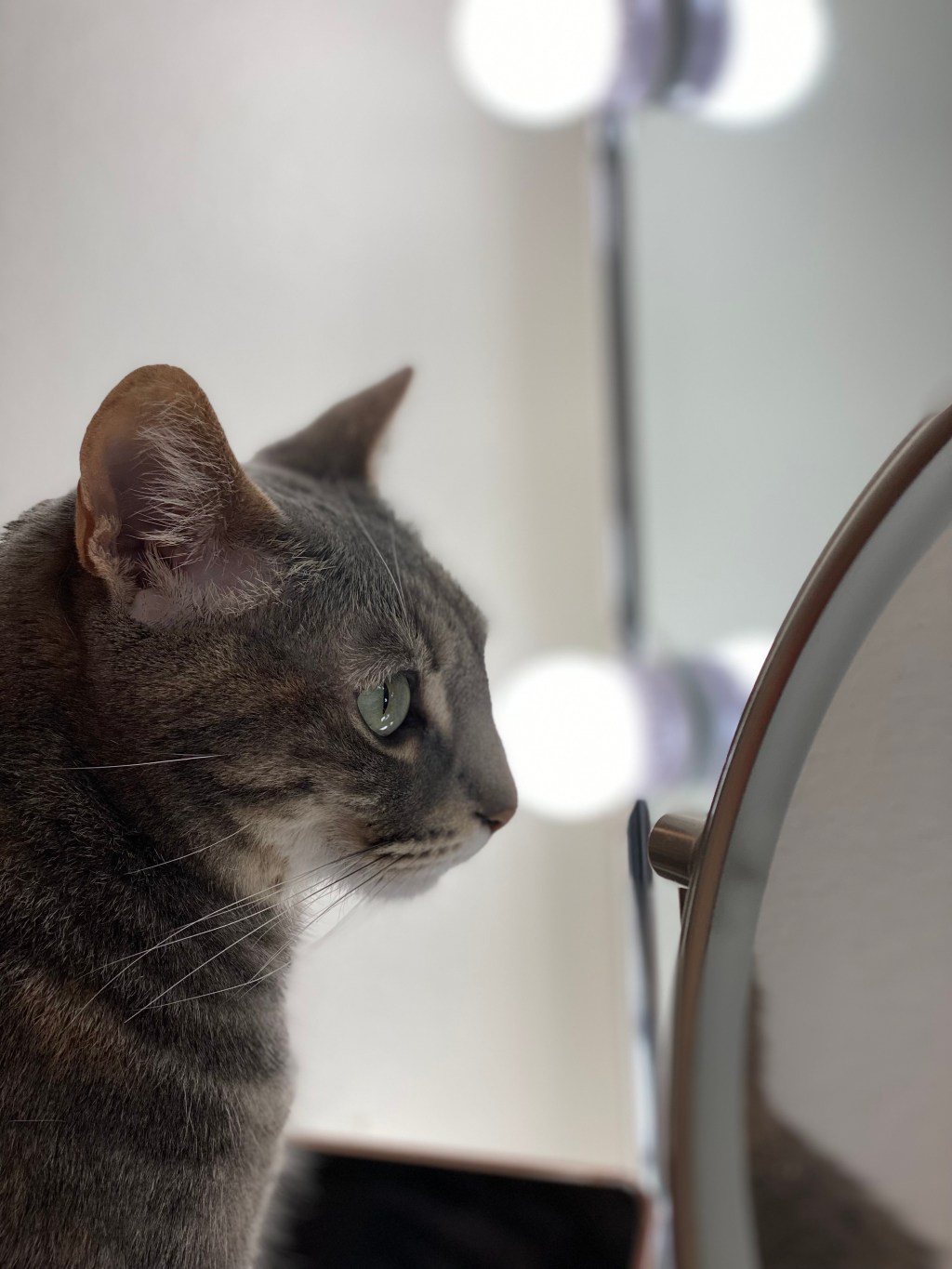 🐾 Meet Minka & Gold: The Princess and the Wild&nbsp;Thing