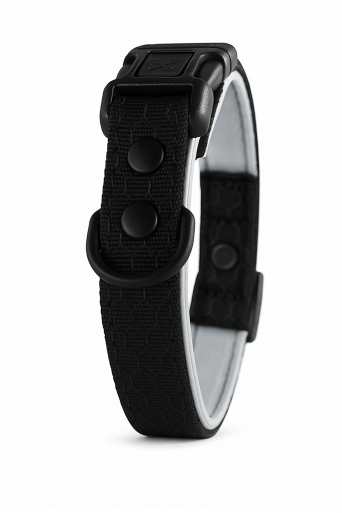 Comfortable black breakaway cat collar with soft padding and no bell"